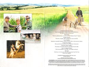 Secondhand Lions