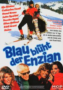 Blau blüht der Enzian