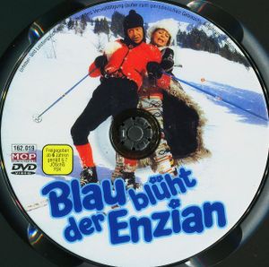 Blau blüht der Enzian