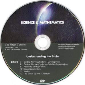 Understanding the Brain