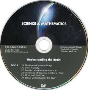 Understanding the Brain