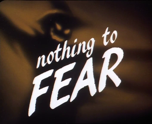 Nothing To Fear
