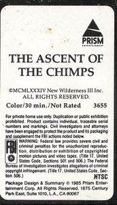 The Ascent Of The Chimps