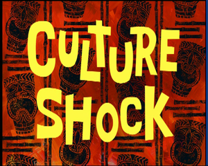 Culture Shock