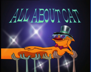 All About Cat