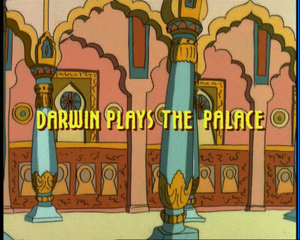 Darwin Plays The Palace