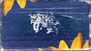 Science Experiences Videotapes (Package 3)
