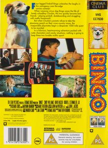 Bingo