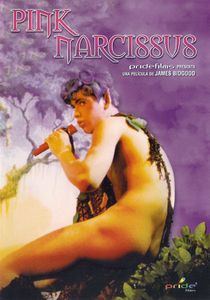 Pink Narcissus