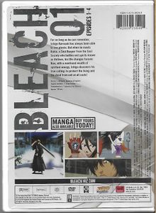 Bleach: The Substitute - 01