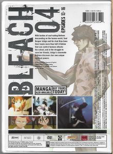 Bleach: The Substitute - 04