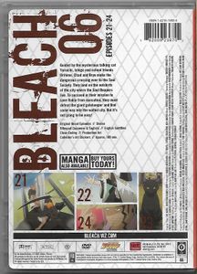 Bleach: The Entry - 06