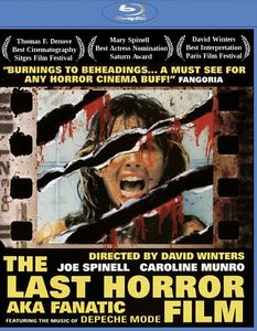The Last Horror Film