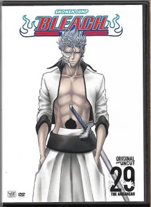 Bleach: The Arrancar - 29