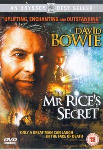 Mr Rice's Secret