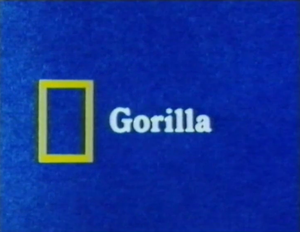 Gorilla