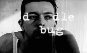 Doodlebug