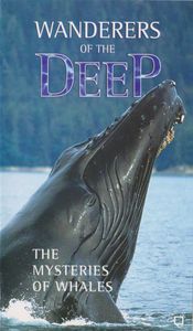 Wanderers of the Deep - The Mysteries of Whales
