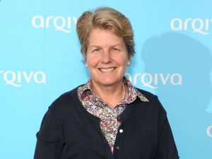 Sandi Toksvig