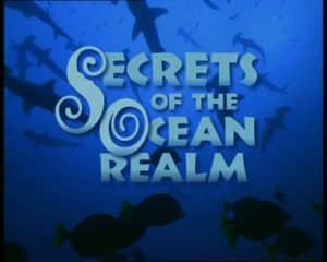 Secrets Of The Ocean Realm