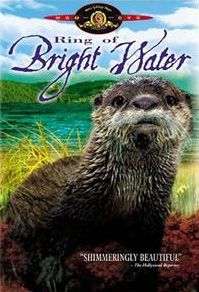 Ring Of Bright Water