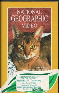 Die Katze: Der Zärtliche Tiger