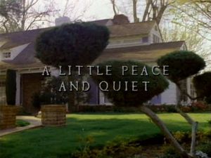 Shatterday/A Little Peace and Quiet