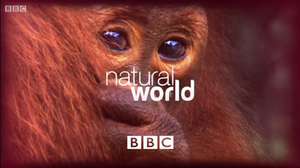 Natural World