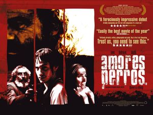Amores Perros