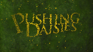 Pushing Daisies