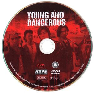 Young and Dangerous - Special Widescreen Edition