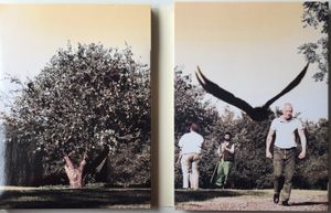 Anders Thomas Jensen - The Collector Box - A Journey Through Black Humor