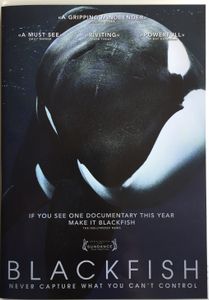 Blackfish