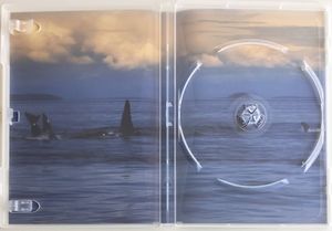 Blackfish