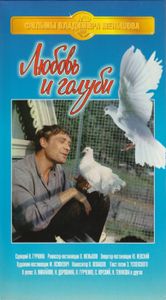 Любовь И Голуби