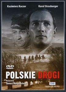 Polskie drogi