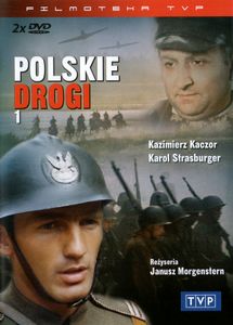 Polskie drogi