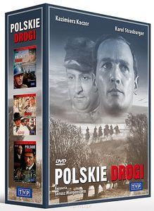 Polskie drogi