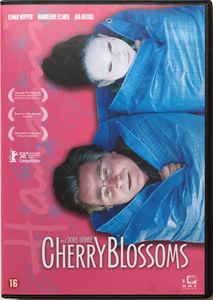 Cherry Blossoms