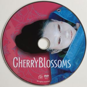 Cherry Blossoms