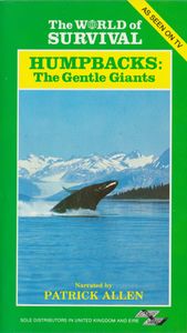 Humpbacks: The Gentle Giants