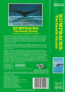 Humpbacks: The Gentle Giants