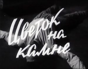 Цветок На Камне