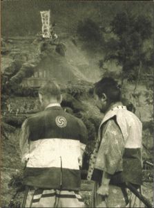 Seven Samurai (The Criterion Collection)