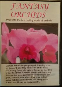 The Fascinating World Of Orchids