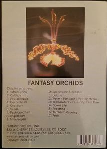 The Fascinating World Of Orchids