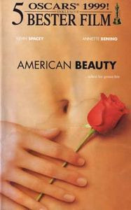 American Beauty