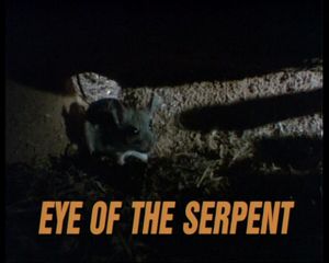 Eye of the Serpent