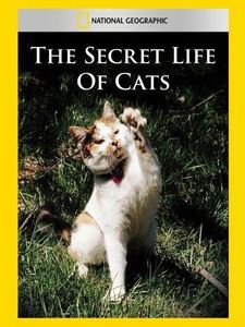 The Secret Life Of Cats