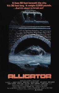 Alligator